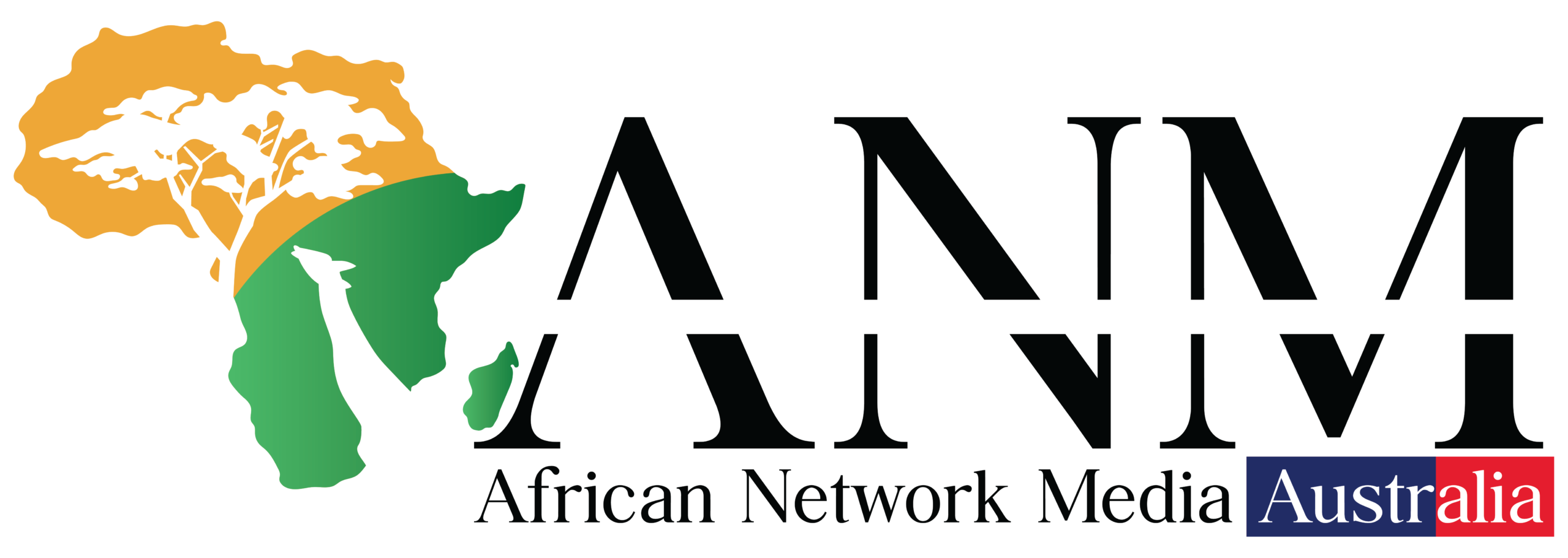 African Network Media